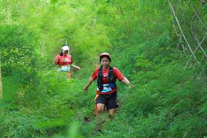 BIB: 
                            <button type="button" onclick="openModal(22097289)" class="btn btn-primary btn-sm float-right btn-popup" data-toggle="modal" data-target=".modal-high-quality">
                        <i class="fas fa-shopping-cart"></i> Add to Cart
                    </button>
                                            <button type="button" onclick="isThisMe(22097289, true)" class="btn btn-success btn-sm float-right btn-popup btn-isme hidden" data-toggle="tooltip" data-placement="bottom" title="นี่คือรูปของคุณใช่ไหม คลิกที่นี่เพื่อเอาเข้าอัลบั้ม">
                        <i class="fas fa-plus"></i> Add to album
                    </button>
                    <button type="button" onclick="isThisMe(22097289, false)" class="btn btn-warning btn-sm float-right btn-popup btn-isnotme hidden">
                        <i class="fas fa-ban"></i> Remove from album
                    </button>